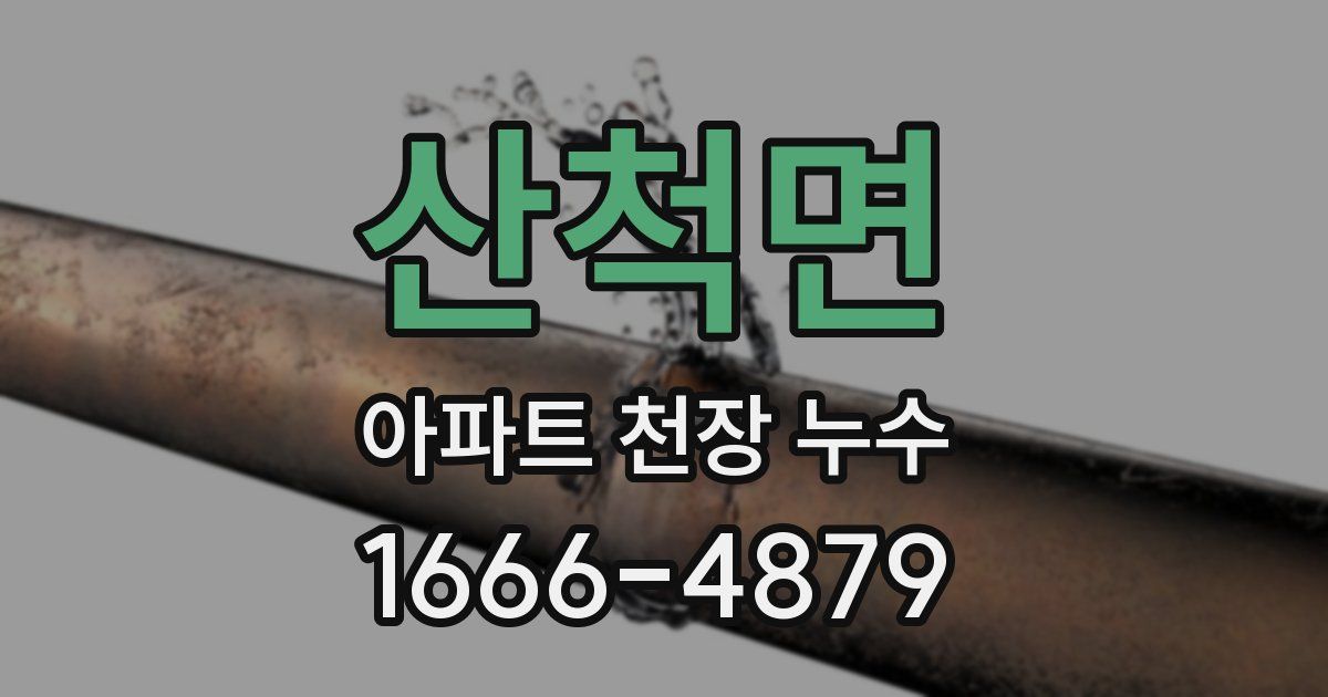 산척면 아파트 천장 누수