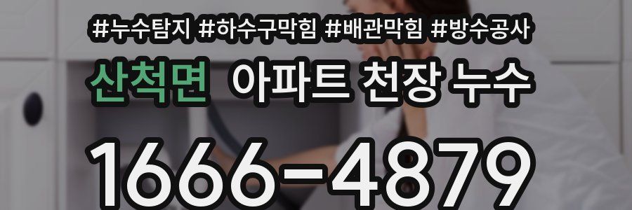 산척면 아파트 천장 누수