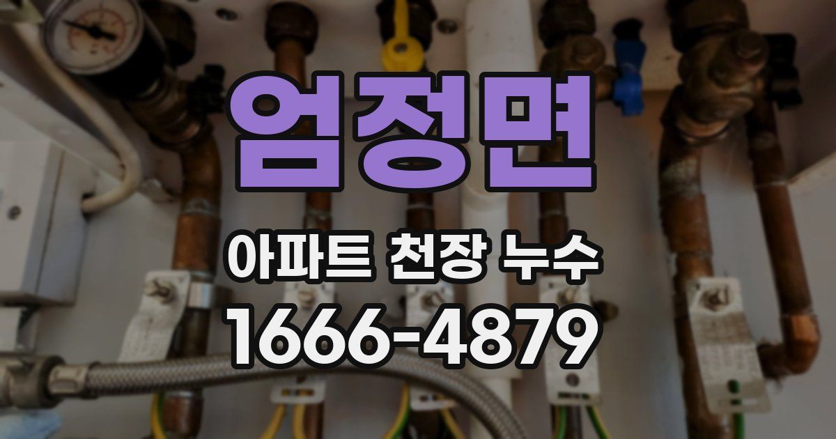 엄정면 아파트 천장 누수