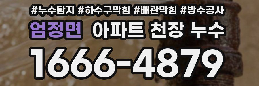 엄정면 아파트 천장 누수