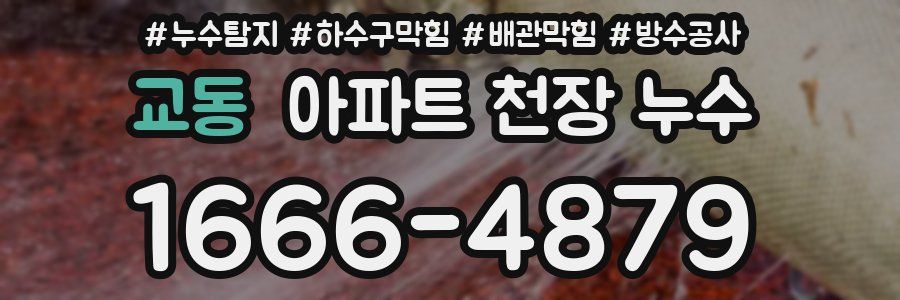 교동 아파트 천장 누수