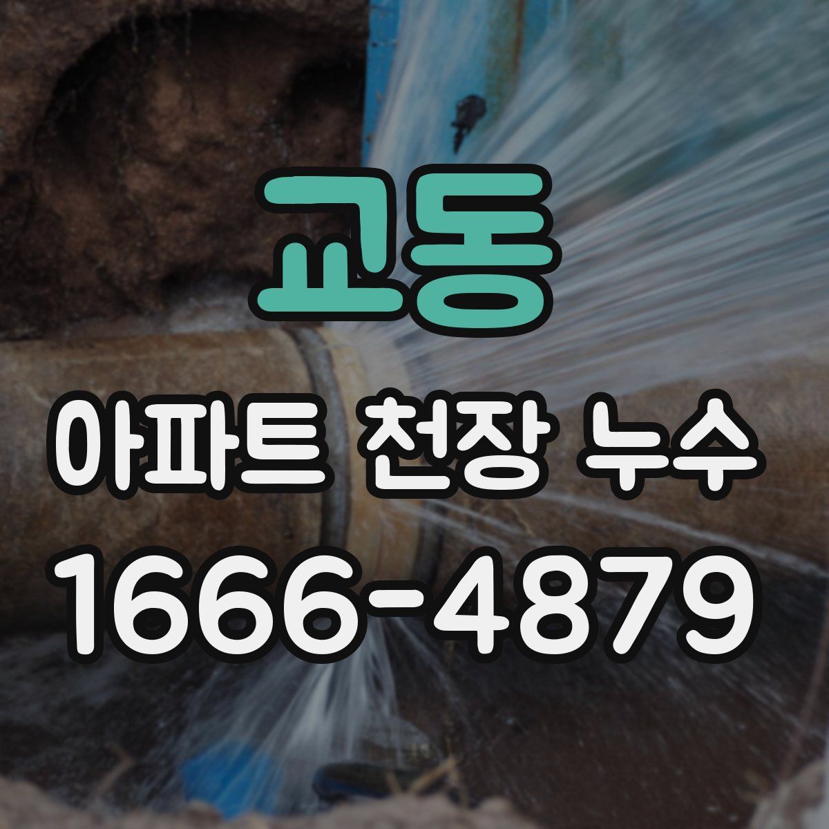 교동 아파트 천장 누수