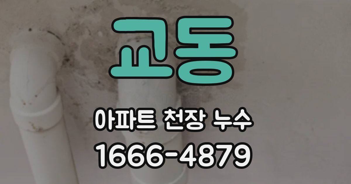 교동 아파트 천장 누수