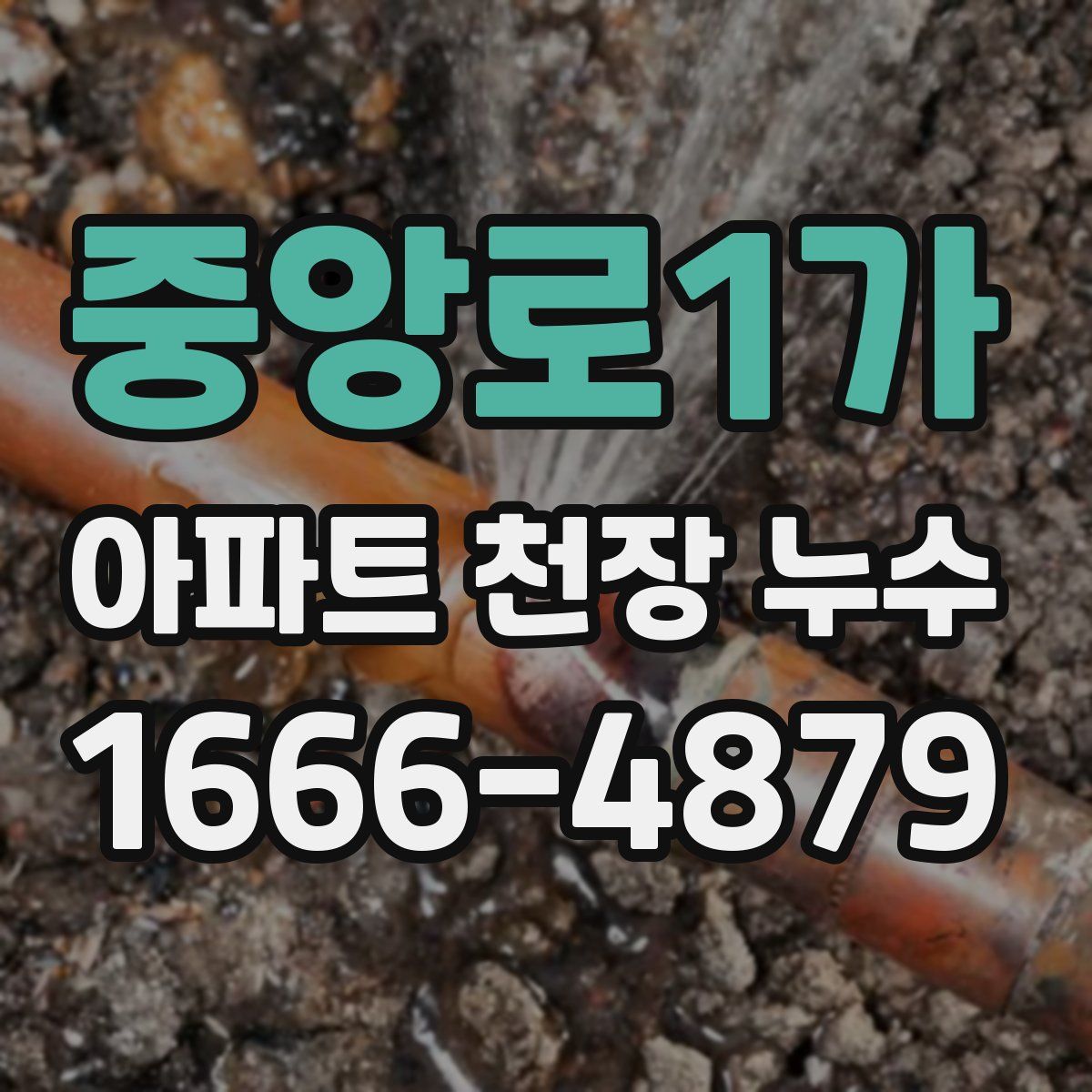 중앙로1가 아파트 천장 누수