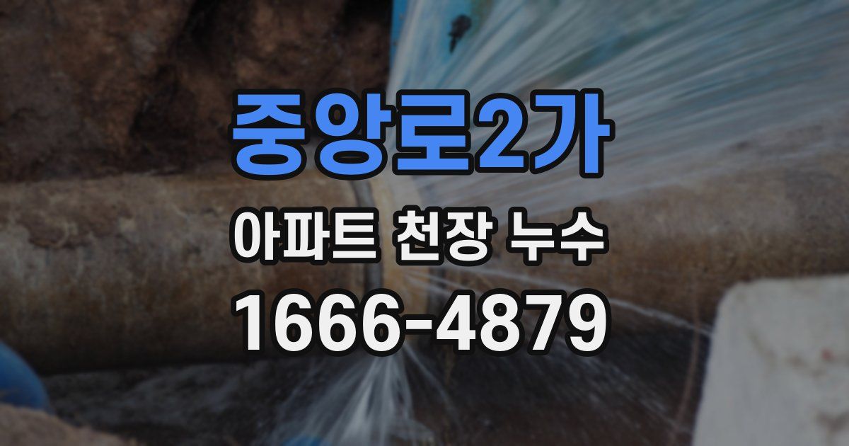 중앙로2가 아파트 천장 누수