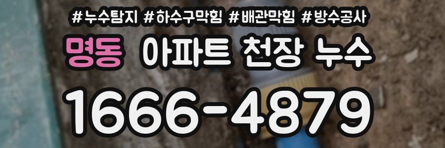 명동 아파트 천장 누수