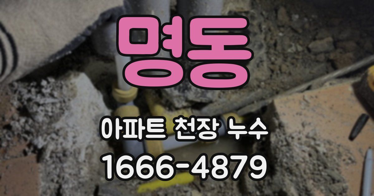 명동 아파트 천장 누수