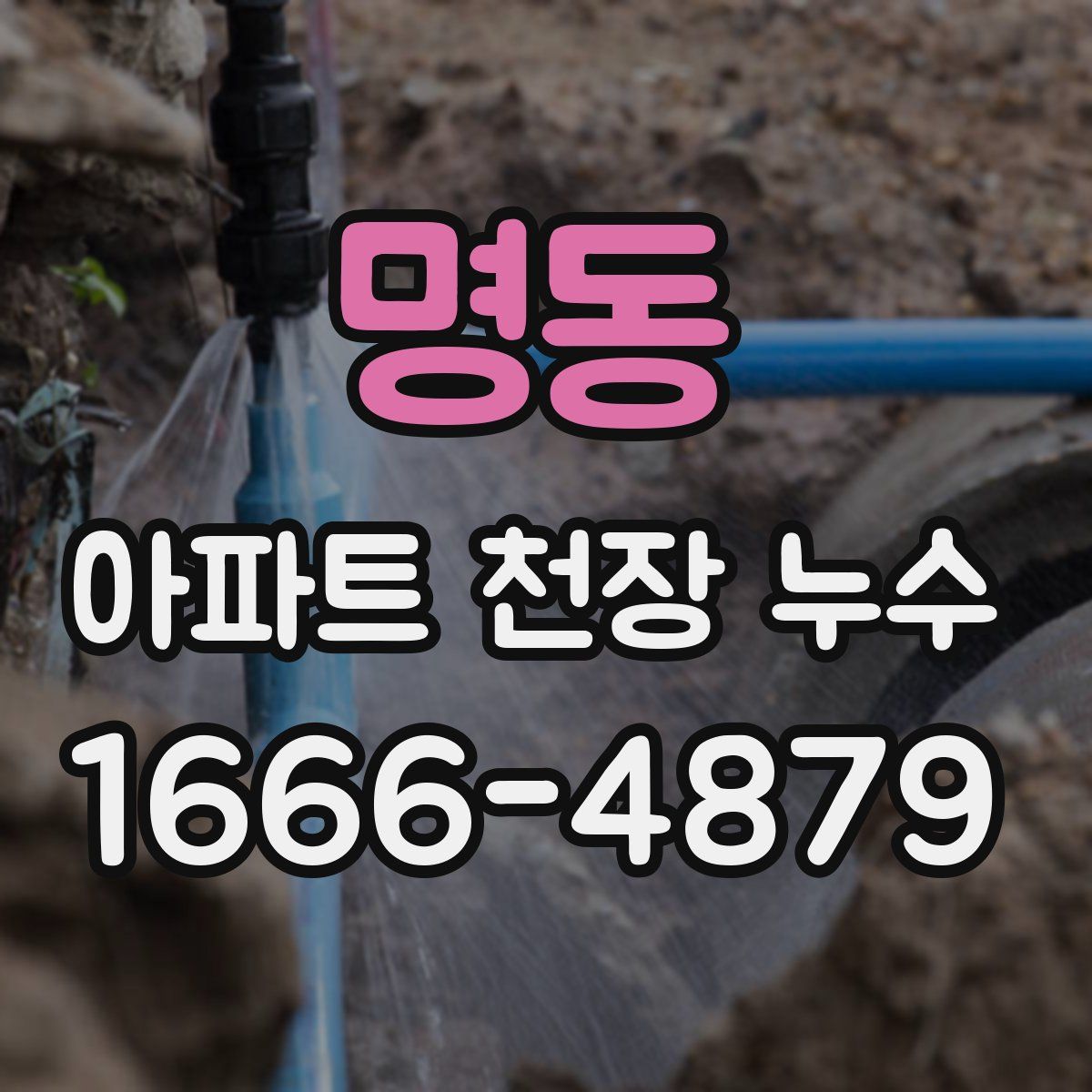 명동 아파트 천장 누수
