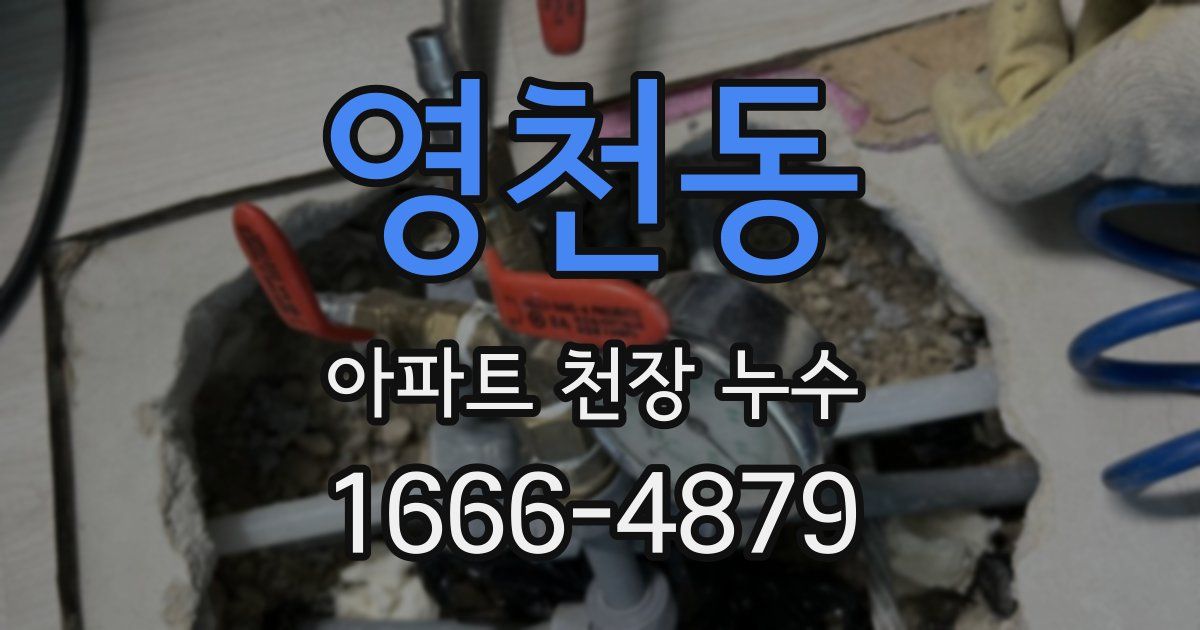 영천동 아파트 천장 누수