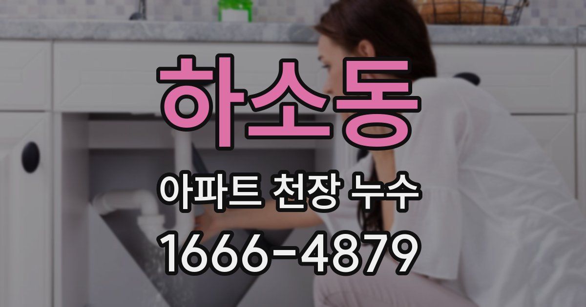 하소동 아파트 천장 누수