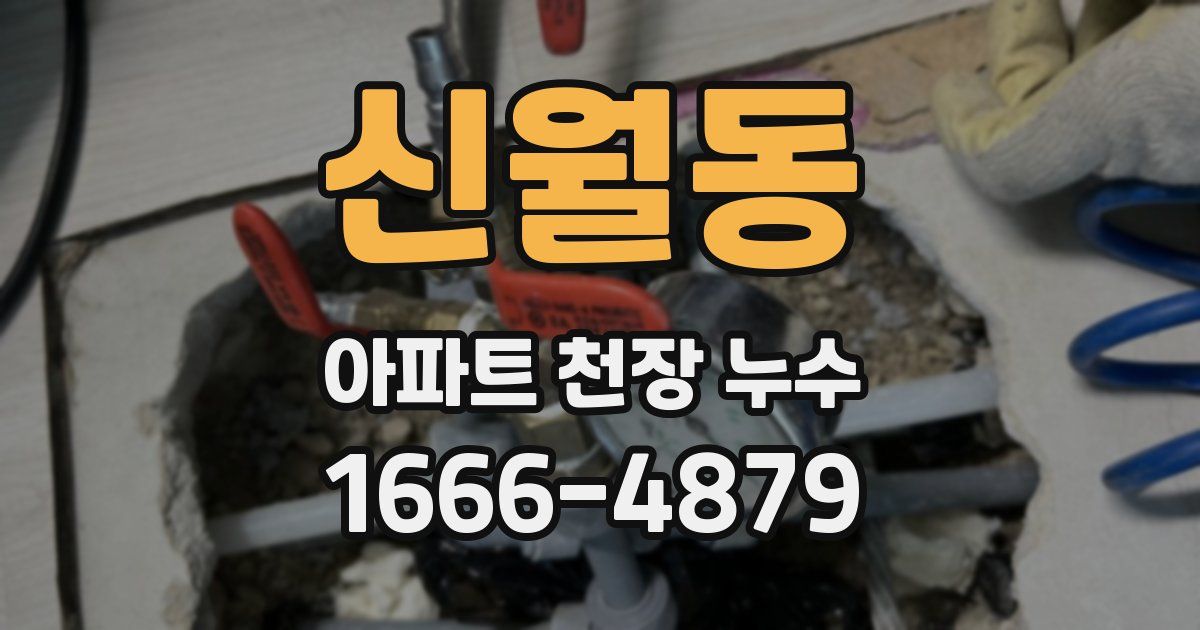 신월동 아파트 천장 누수