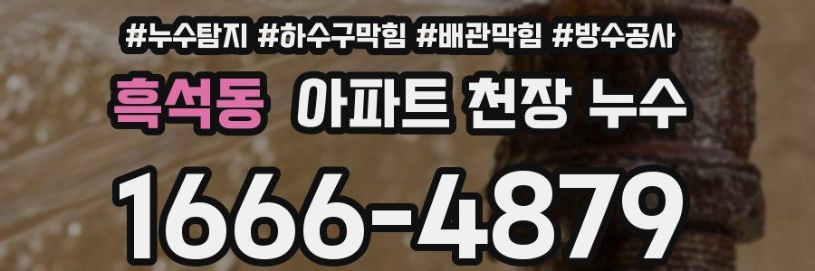 흑석동 아파트 천장 누수