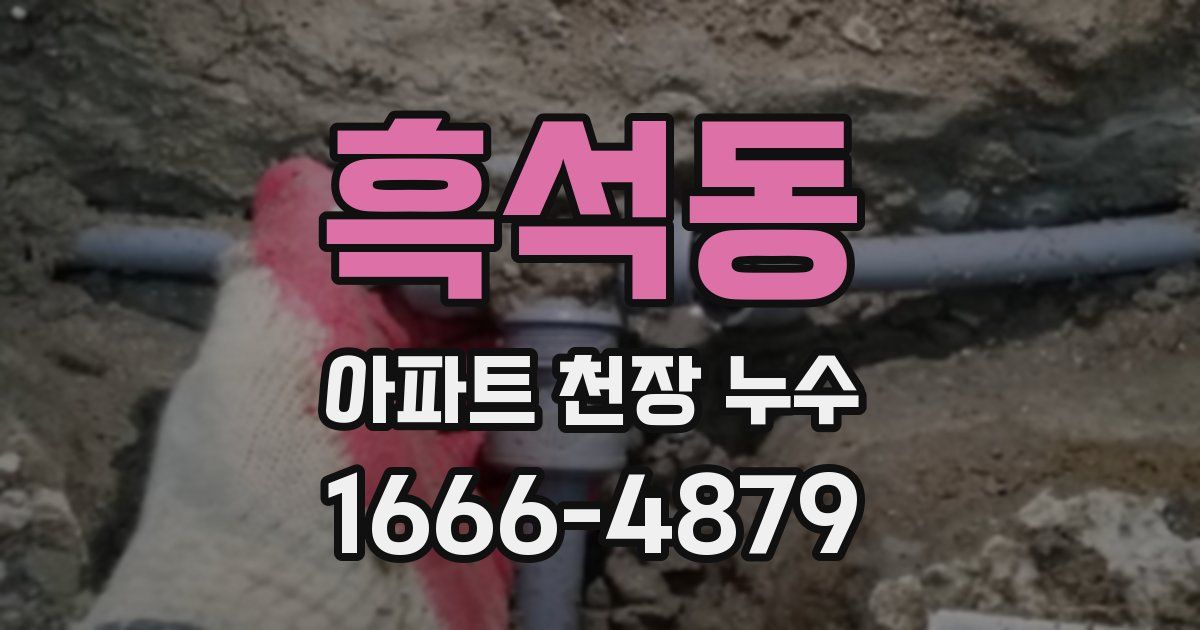 흑석동 아파트 천장 누수