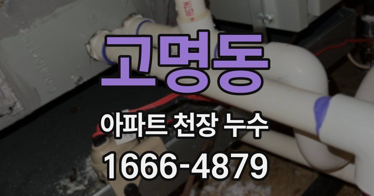 고명동 아파트 천장 누수