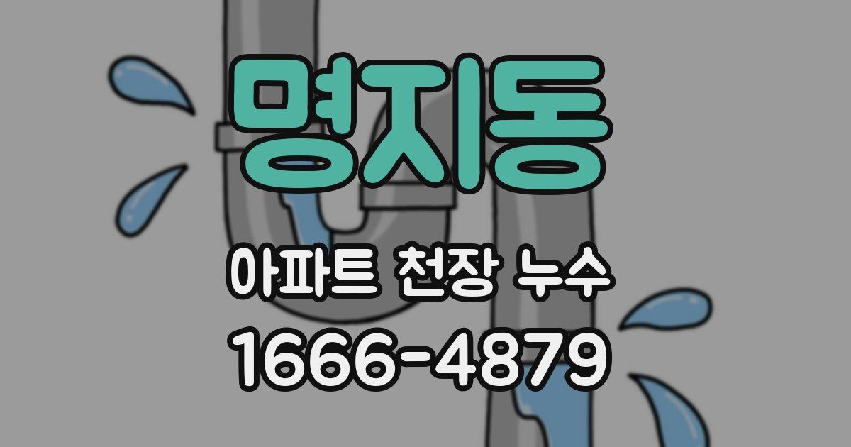 명지동 아파트 천장 누수