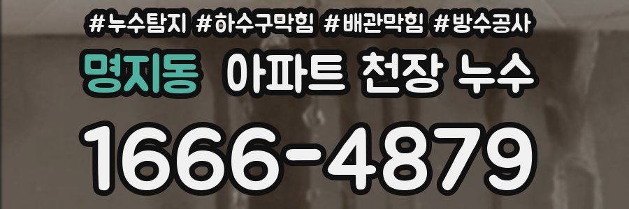 명지동 아파트 천장 누수