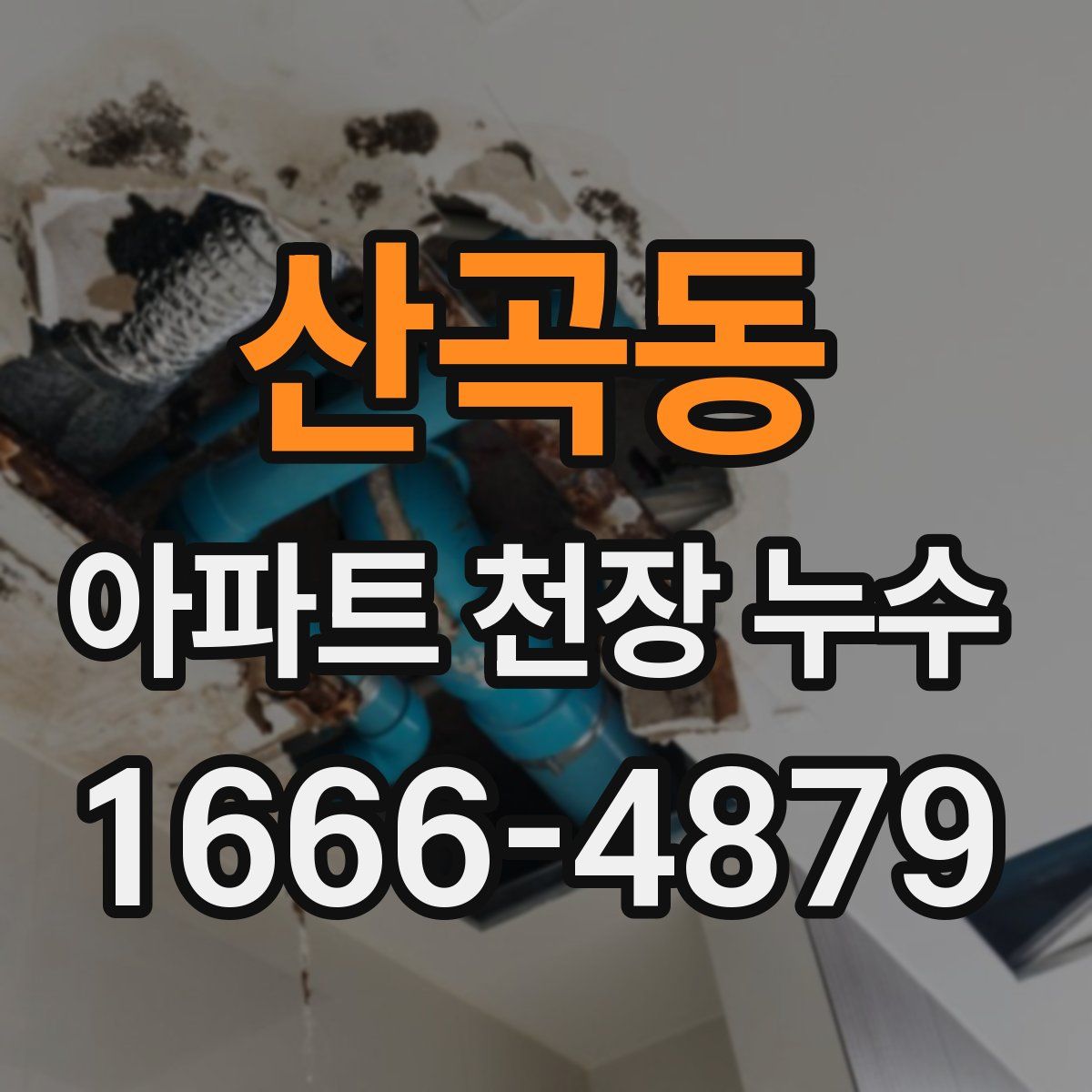 산곡동 아파트 천장 누수