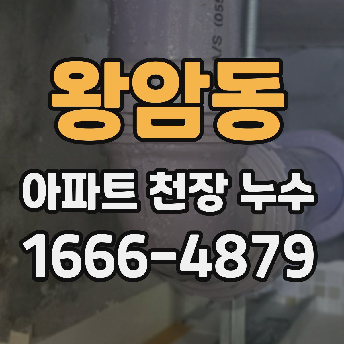 왕암동 아파트 천장 누수