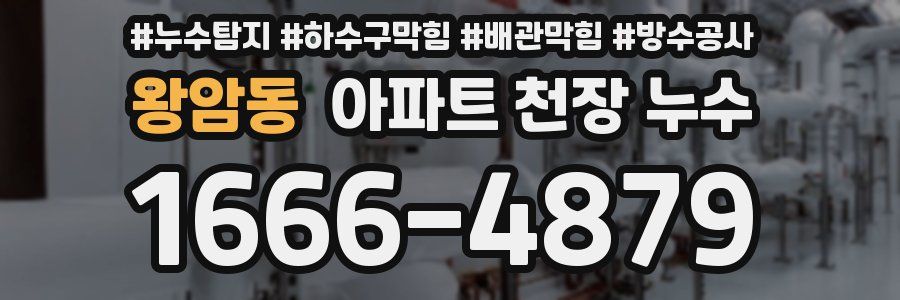 왕암동 아파트 천장 누수