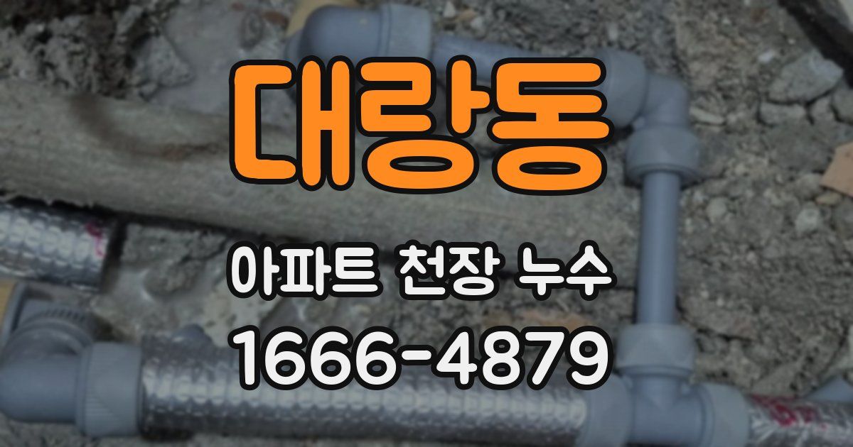 대랑동 아파트 천장 누수