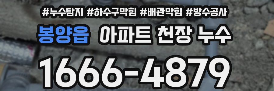봉양읍 아파트 천장 누수