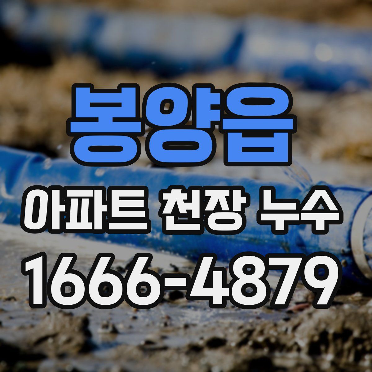 봉양읍 아파트 천장 누수