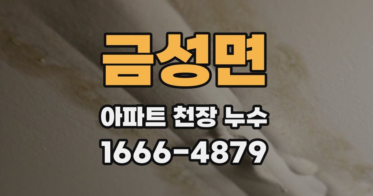금성면 아파트 천장 누수
