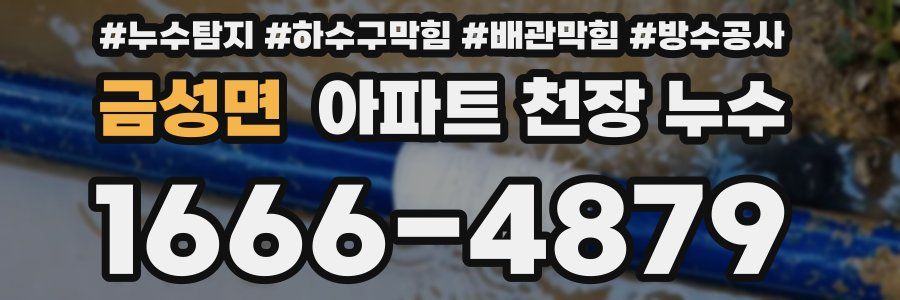 금성면 아파트 천장 누수
