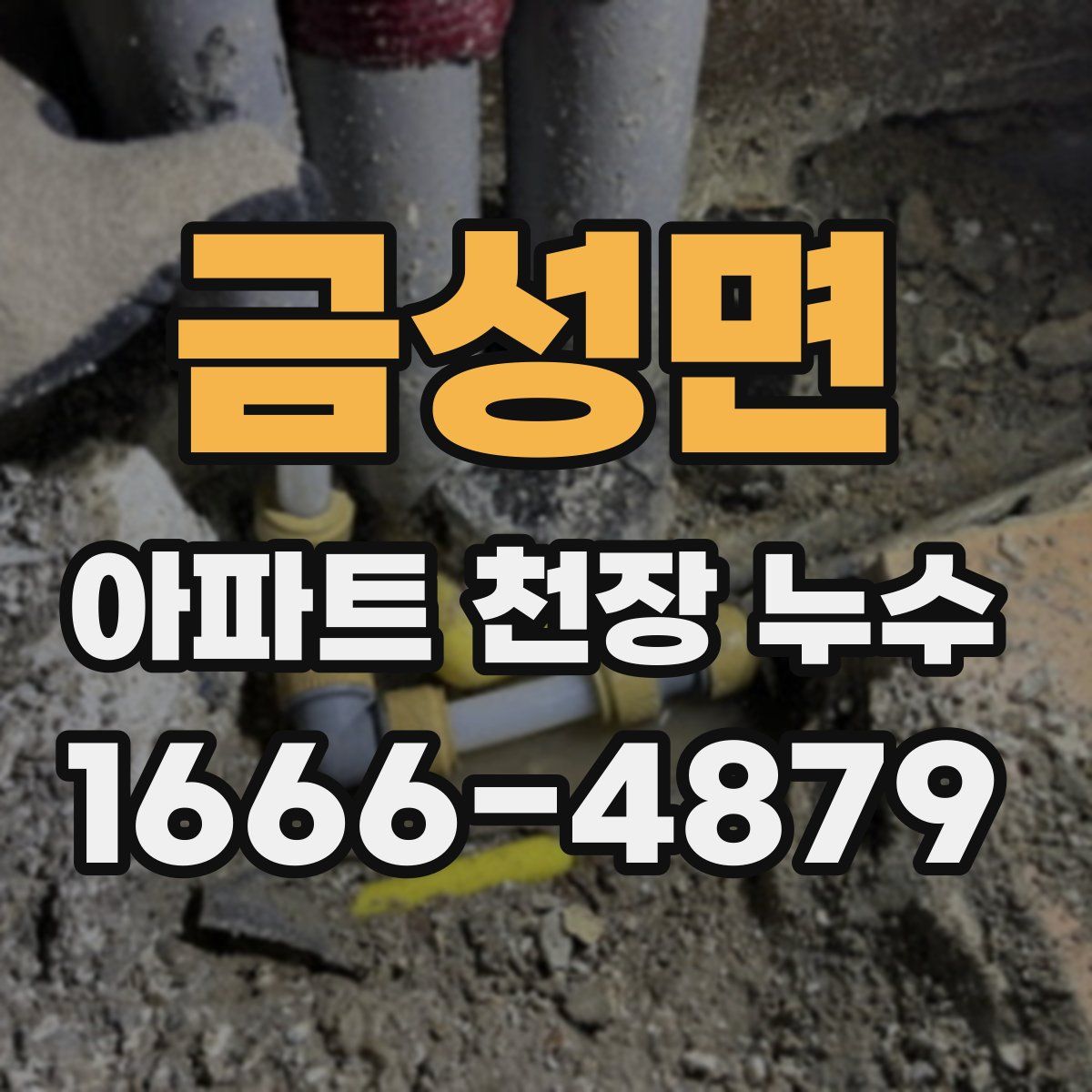 금성면 아파트 천장 누수