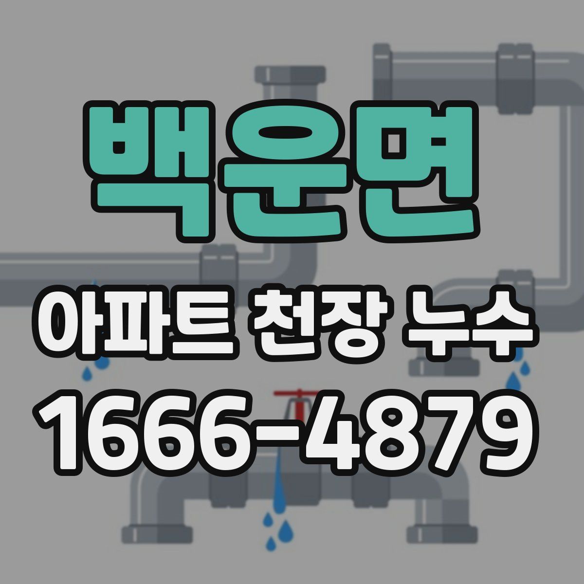 백운면 아파트 천장 누수