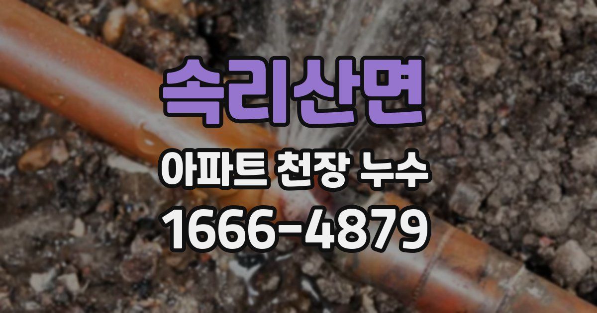 속리산면 아파트 천장 누수