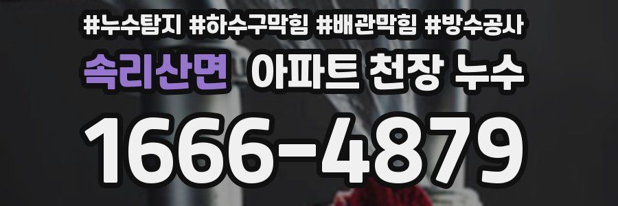 속리산면 아파트 천장 누수