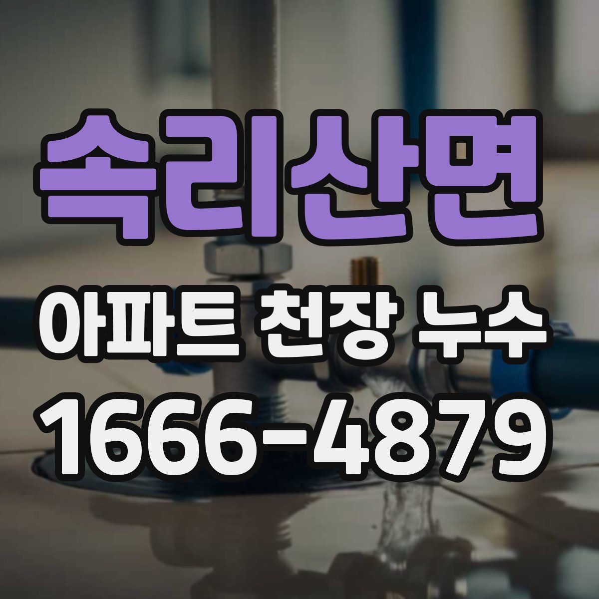 속리산면 아파트 천장 누수