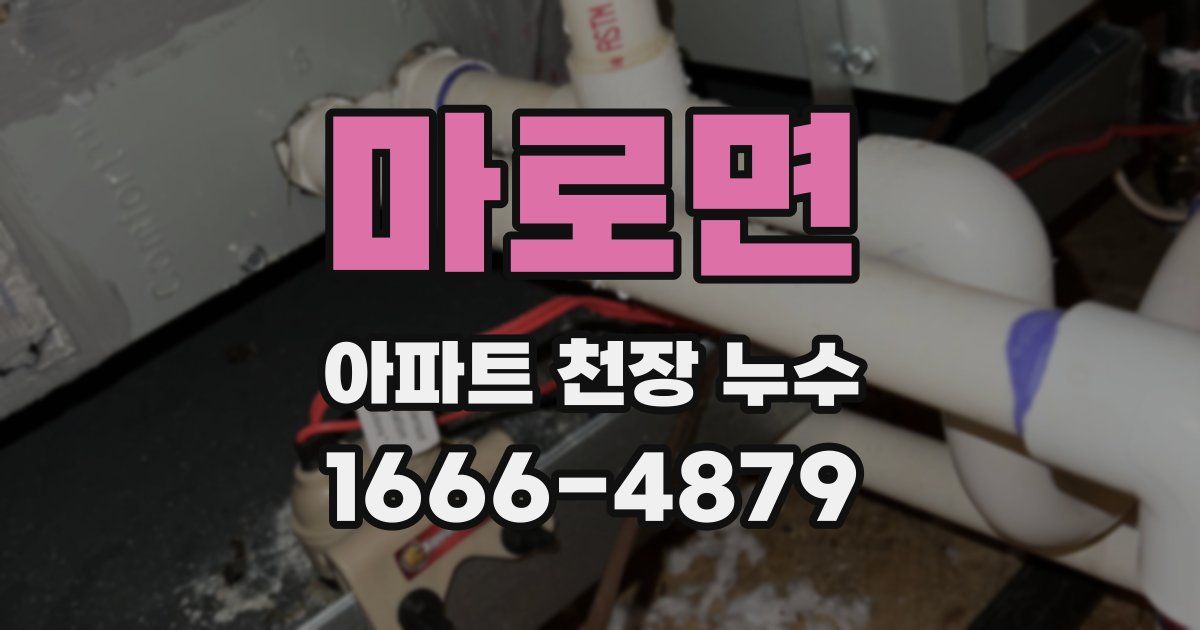 마로면 아파트 천장 누수