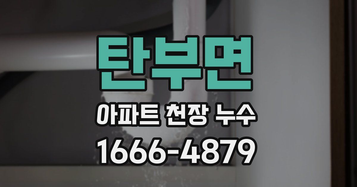 탄부면 아파트 천장 누수