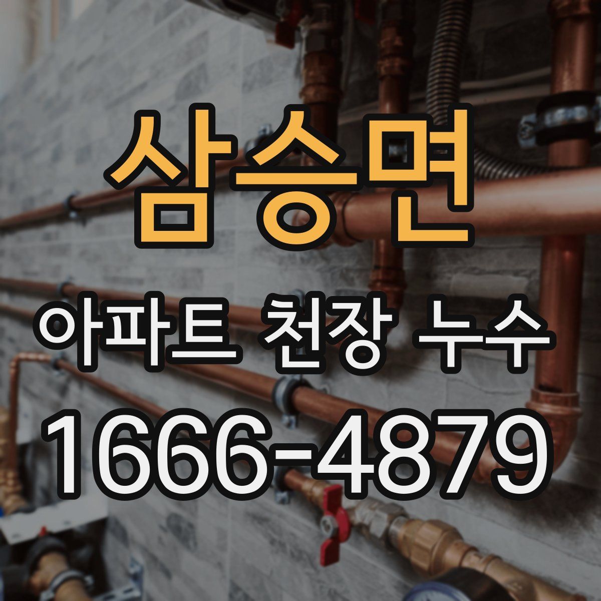 삼승면 아파트 천장 누수