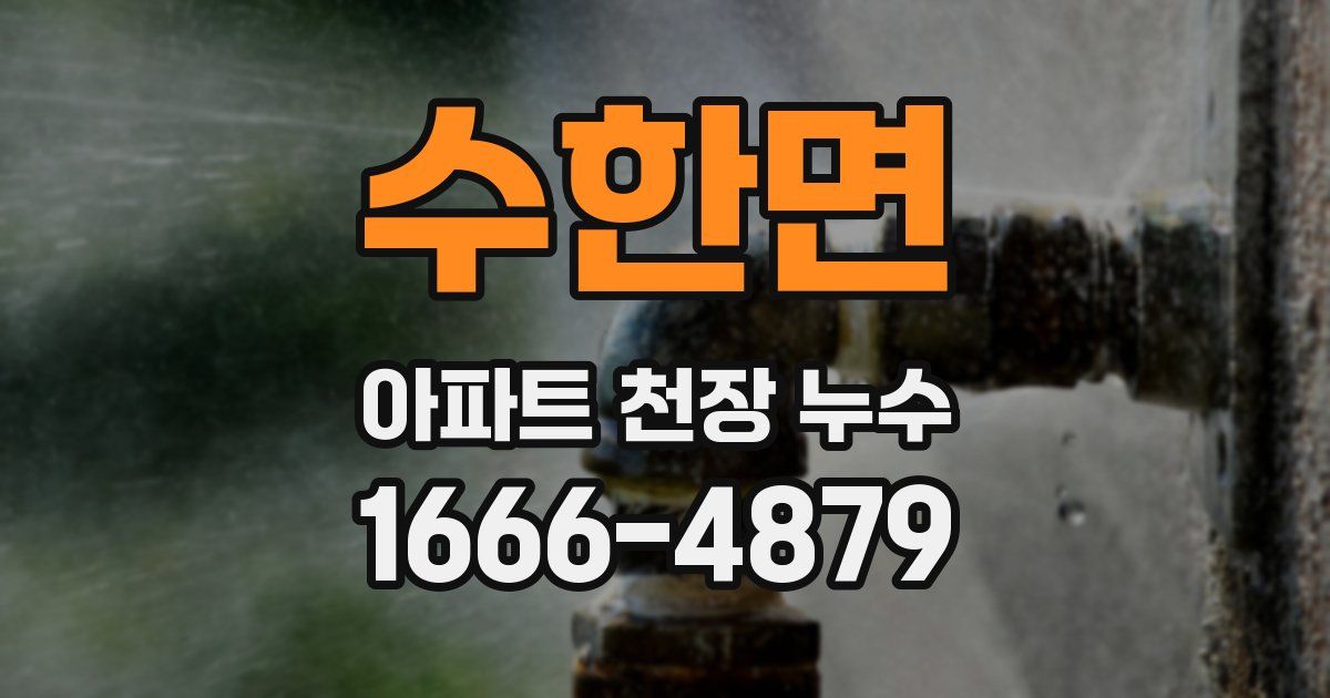 수한면 아파트 천장 누수