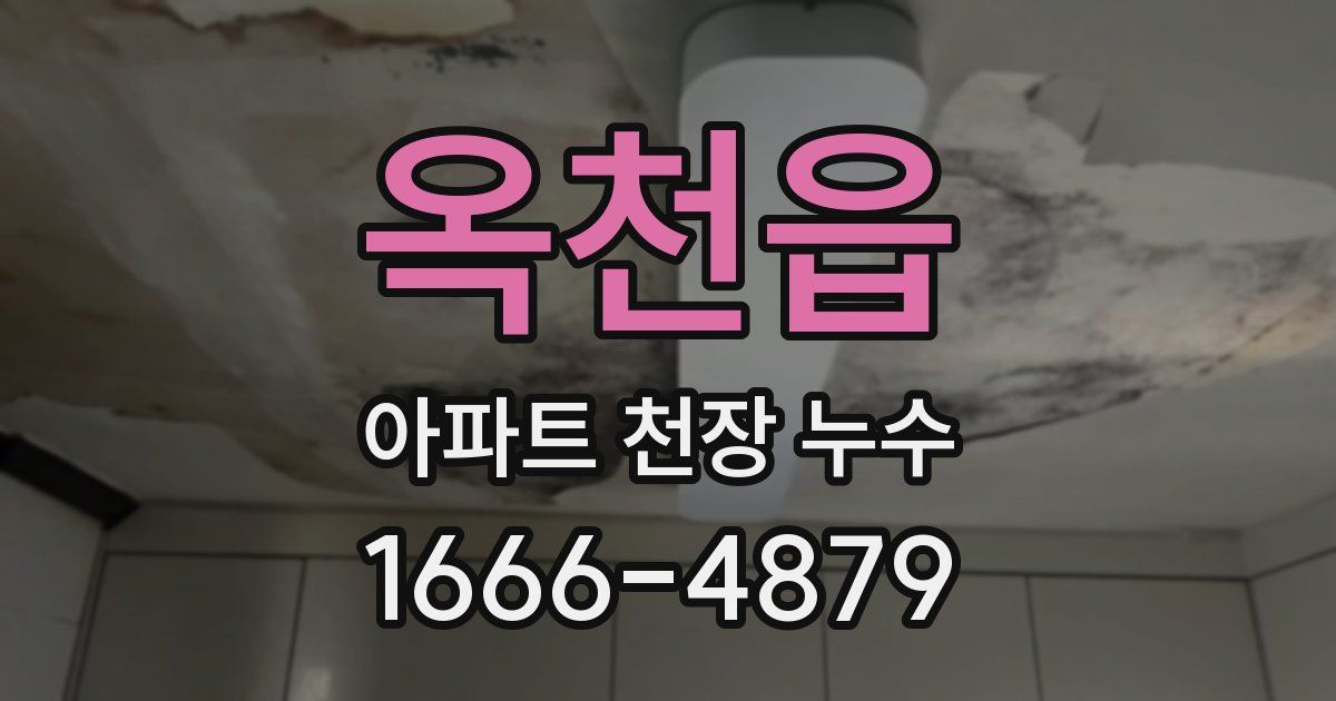 옥천읍 아파트 천장 누수