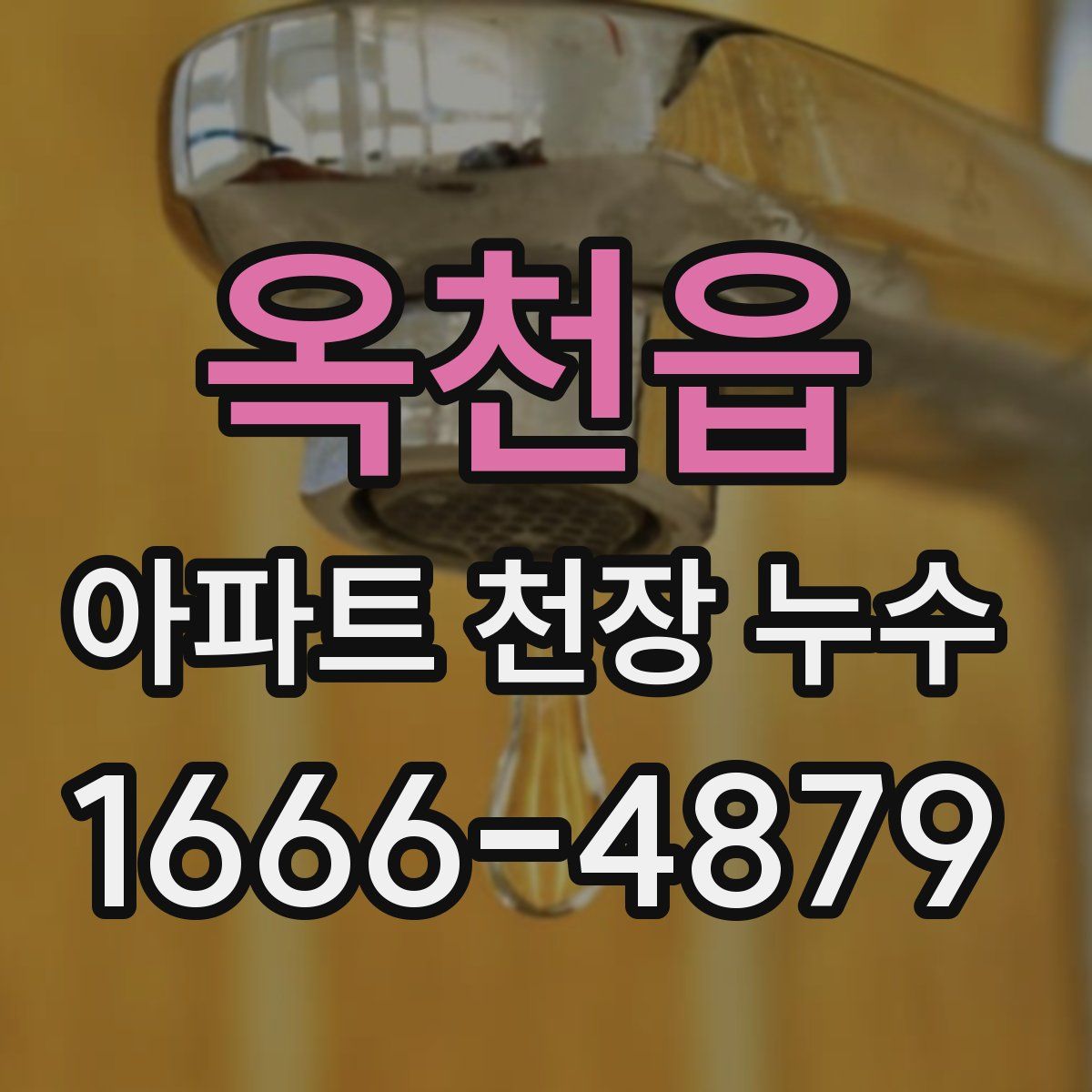 옥천읍 아파트 천장 누수