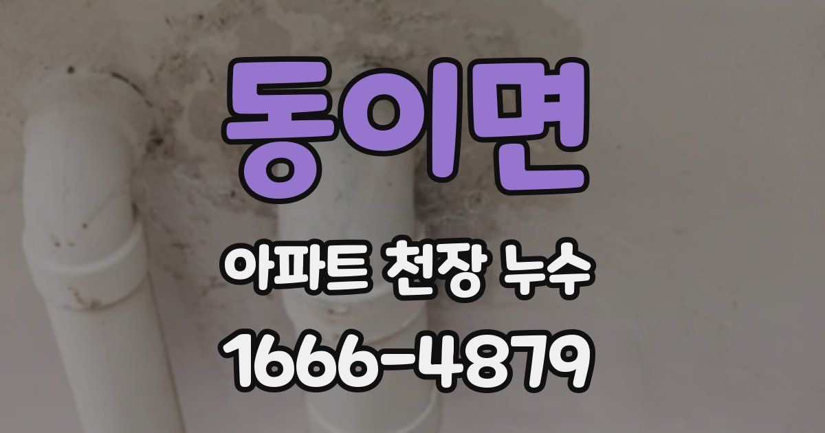 동이면 아파트 천장 누수