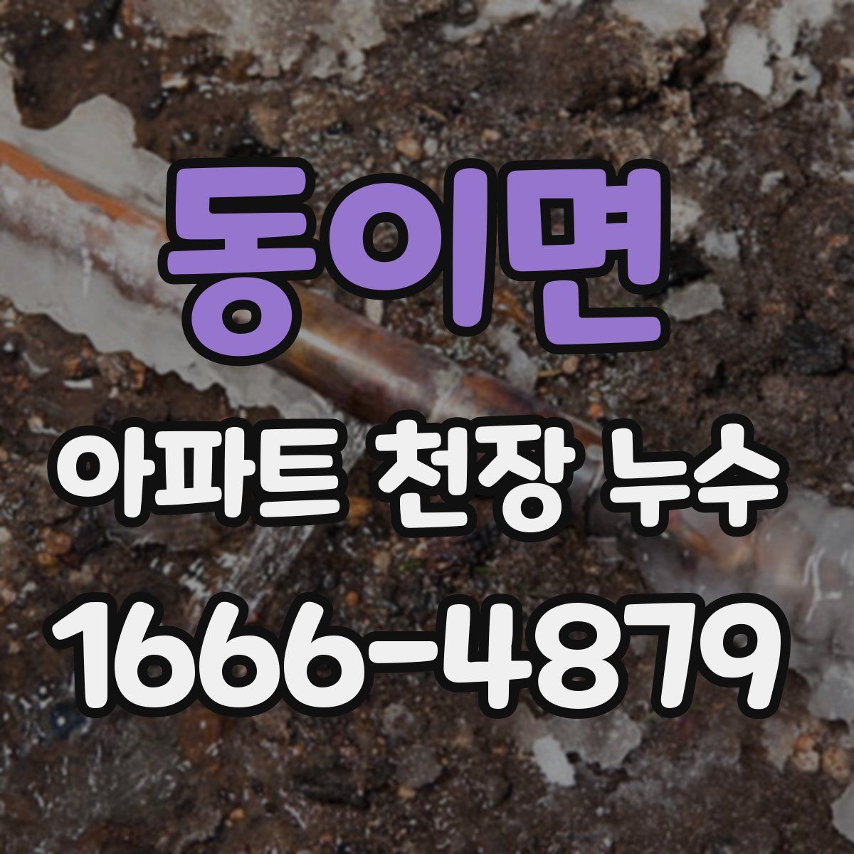 동이면 아파트 천장 누수