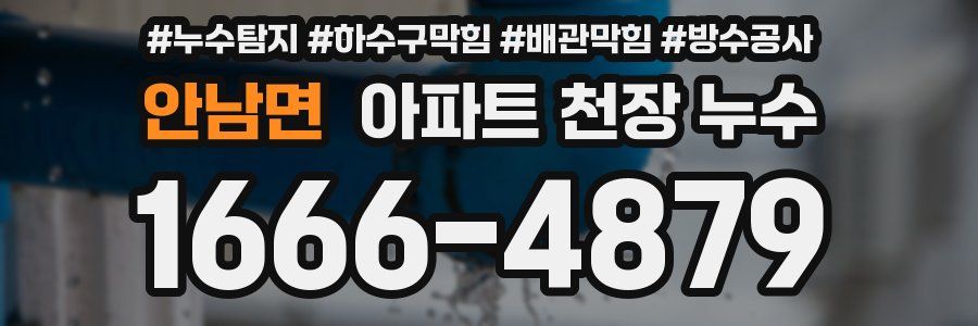 안남면 아파트 천장 누수