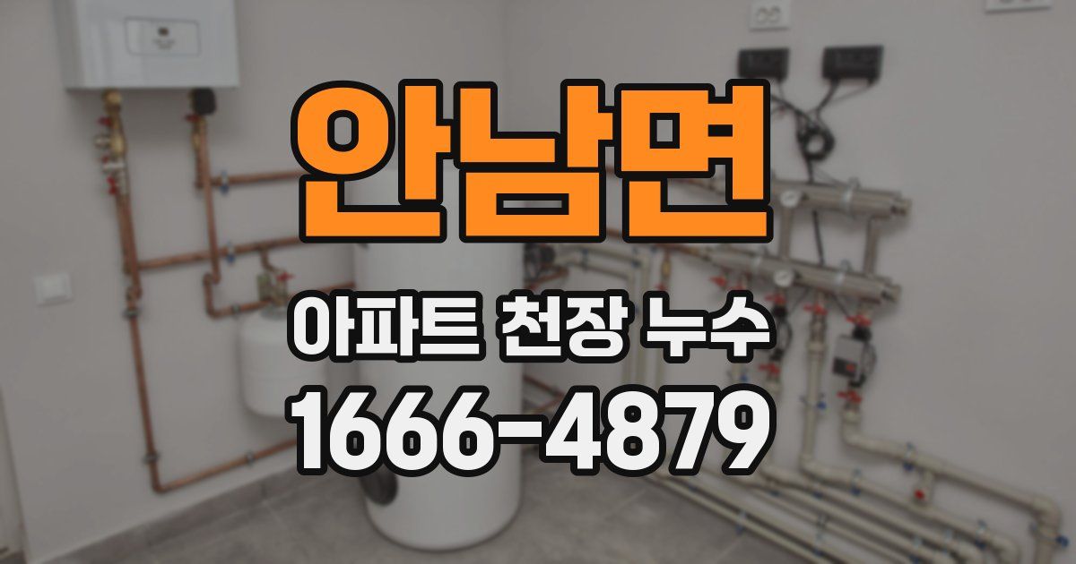 안남면 아파트 천장 누수