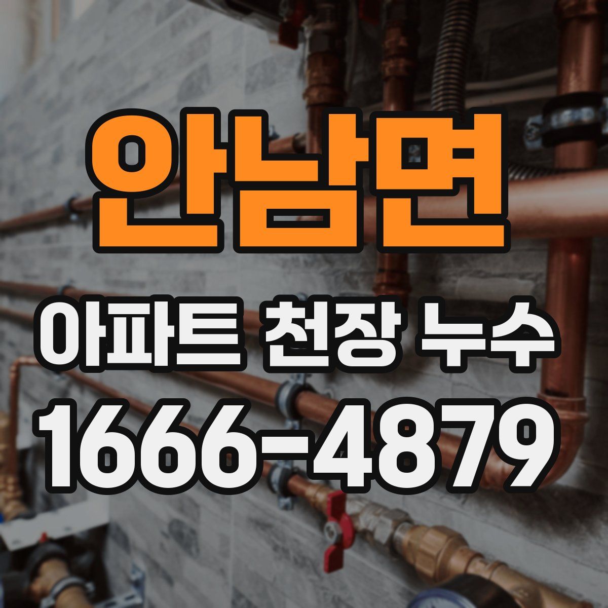 안남면 아파트 천장 누수