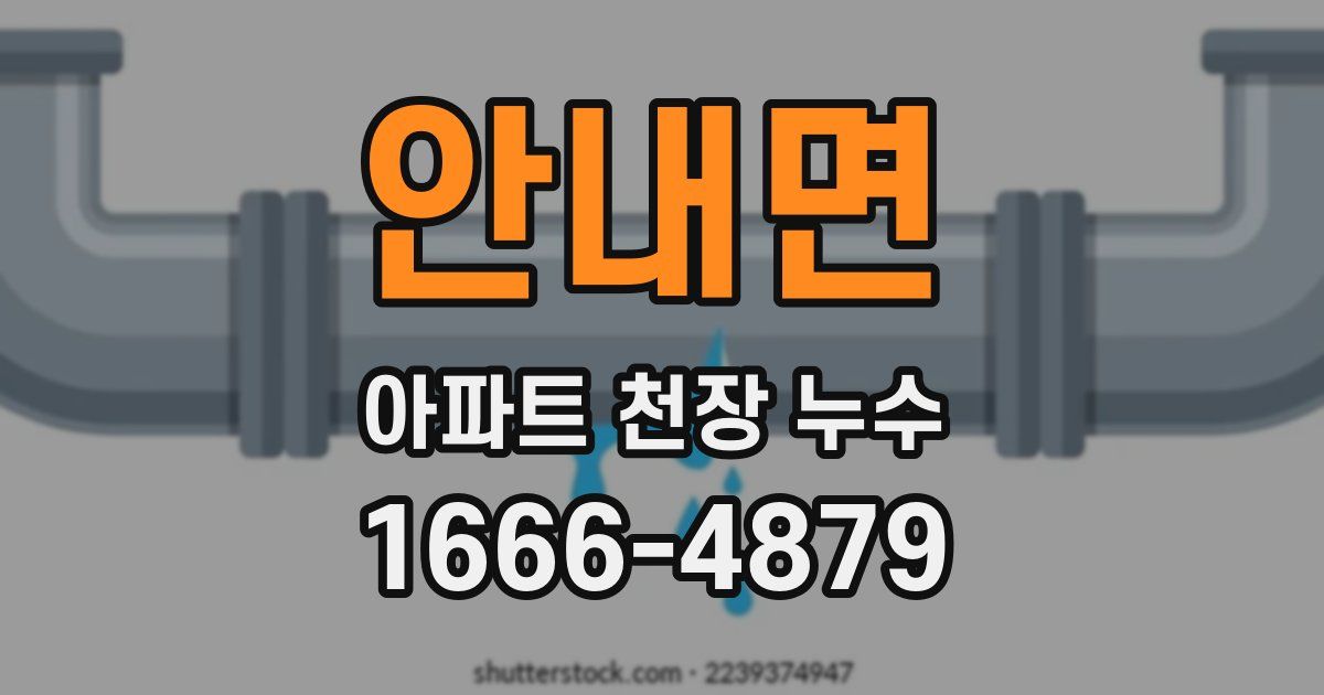 안내면 아파트 천장 누수