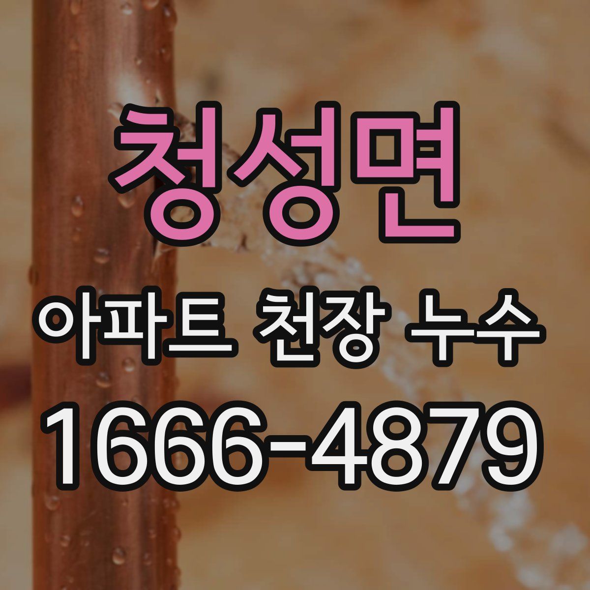 청성면 아파트 천장 누수