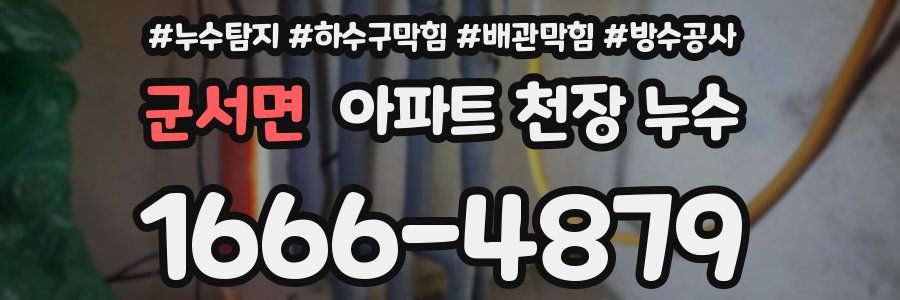 군서면 아파트 천장 누수