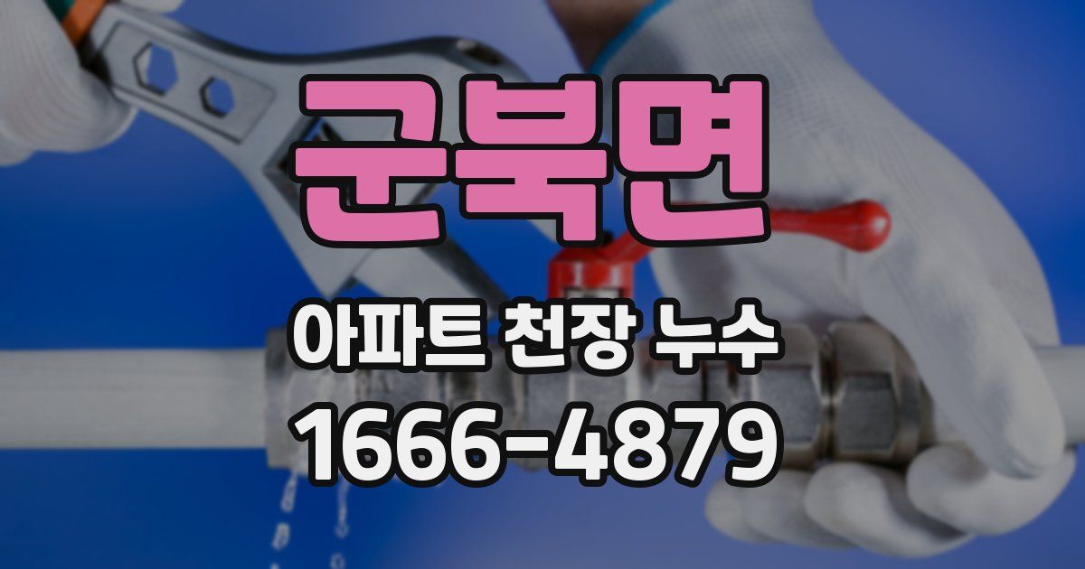 군북면 아파트 천장 누수
