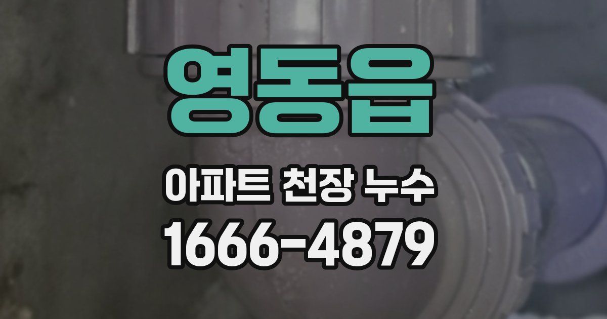 영동읍 아파트 천장 누수