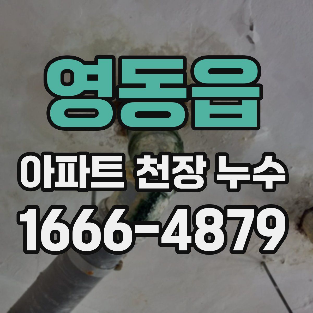 영동읍 아파트 천장 누수